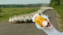 goose army club splash