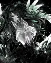 Kiri's Portfolio splash