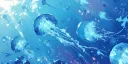 splash