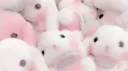 ・┆✦ʚ♡ 𝓹𝓪𝓼𝓽𝓮𝓵𝓼𝓸𝓾𝓵 ♡ɞ✦ ┆・ splash