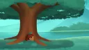 Acorn Grove splash