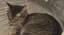 Goodnight Discord server banner