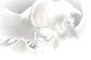 𝘴𝘦𝘳𝘦𝘯𝘪𝘵𝘺 💝’‘🪵 splash