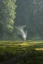splash
