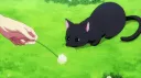 𝐖𝐀𝐑𝐑𝐈𝐎𝐑 𝐊𝐈𝐓𝐓𝐄𝐍𝐒 Discord server banner