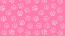 🐾🩷The Puppy Pound  (18+)🩷🐾 splash