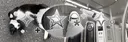 /aetheri ⊹ ࣪ ˖ gws + acubi + tags Discord server banner