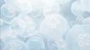 The Luminescent Grove Banner