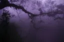 Onslaught splash