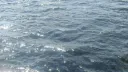 splash