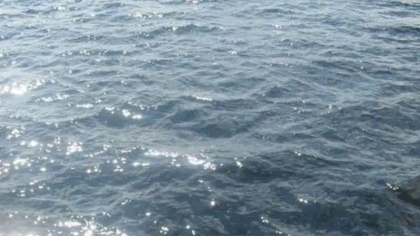 splash