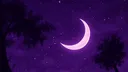 ༓☾ 𝑺𝑰𝑳𝑬𝑵𝑻 𝑪𝑹𝑬𝑺𝑪𝑬𝑵𝑻 ☾༓ /#LUNA Discord server banner