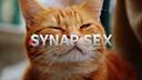 Synapse Cat Fan Club