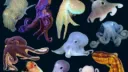 OCTOPUS DISTRICT Discord server banner