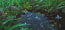 splash