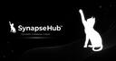 SynapseHub™ (In trasferimento..) Banner