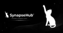 SynapseHub™ splash