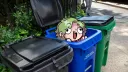 Tate's Dump splash