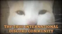 Every Country Experiment splash