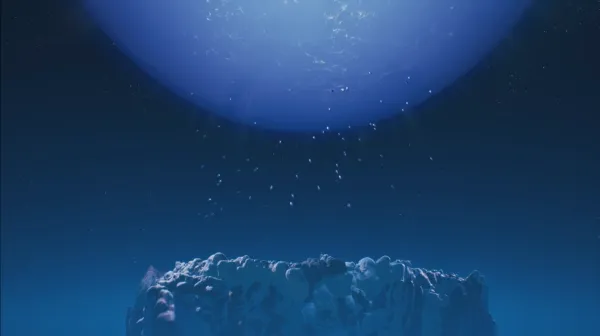 splash