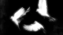 ◟✦ / 1ndulge ⋆ ୨ᰔ୧ splash