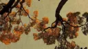 Deadcrush 🔆 Discord server banner