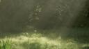 The Nook Banner