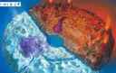 punk hazard Discord server banner