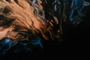 splash
