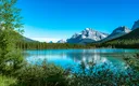 Discord Alberta splash