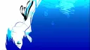 splash