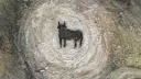 The Story Den ⦮ ⦯ Discord server banner