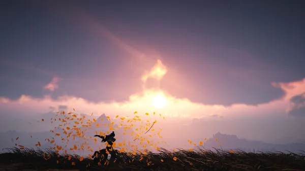 splash