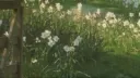 ⌗ !! KRYPTON splash