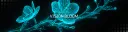 Vision Bloom Studio I NightSide 3.0 splash