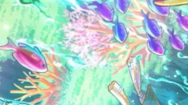 splash