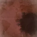 splash