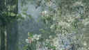 splash