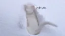 splash