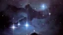 ⋆𝐂𝐞𝐥𝐞𝐬𝐭𝐞⋆˚࿔ Discord server banner