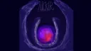 Flicker: Duos (S12) splash