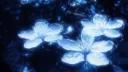 ࣪ ִֶָ☾. Spookis Castle ࿐ Discord server banner