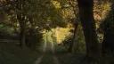 ೯⁺ 𝓑αѕкωσσ∂ 🪵◞ִֶָ𓂃┇тнє ѕєquєℓ splash