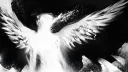 𝐒𝐞𝐫𝐩𝐞𝐧𝐭𝐬 OFF splash