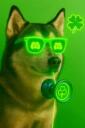 Cool Squad Content Hub Banner