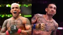 Peaceful Peacocks MMA 🦚 ☮ splash