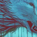 splash