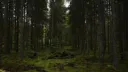 The Den (16+) Discord server banner