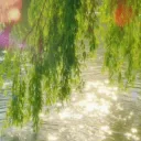 ୨     𓂃◞     𝑤𝑖𝑙𝑙𝑜𝑤     ◞ splash
