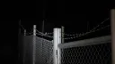 ⵌ 𝗟𝗢𝗩𝗘 𝗜𝗦 𝗪𝗔𝗥 Discord server banner